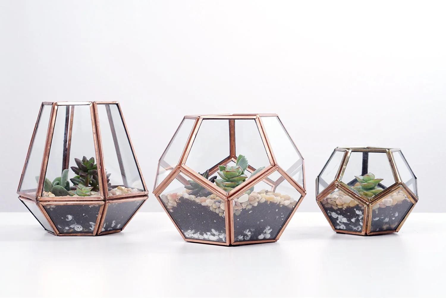 Terrariums & Planters — handcrafted glassware manufactured by AVM Glass, Firozabad
